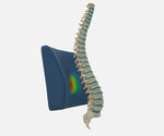 COJIN LUMBAR THERASHAPE TM320