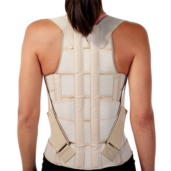 FAJA ESPALDILLERA DORSO-LUMBAR (SMALL) BLUNDING